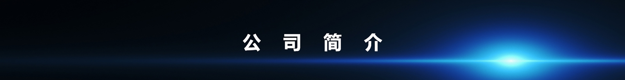 公司简介
